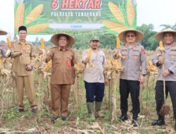 Kapolresta Tangerang: Panen Jagung Sejalan dengan Asta Cita Presiden RI untuk Ketahanan Pangan