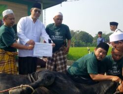 Pelaksanaan Idul Adha, NU Kabupaten Tangerang Potong Hewan Kurban Sapi Jenis Limosine