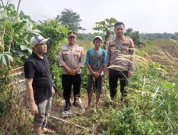 Wujudkan Ketahanan Pangan, Polsek Panongan Buka Lahan Jagung 2 Hektar di Desa Peusar