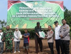 Polsek Cikeusal Dukung Swasembada Pangan 2025 Melalui Penanaman Jagung Serentak Kuartal III