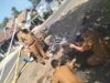 IMG-20260803-WA0127
