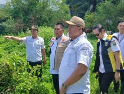 Sekda Tanggamus Tinjau Tanggul Way Belu, Siapkan Penanganan Darurat